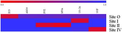 Antigenic Site-Specific Competitive Antibody Responses to the Fusion Protein of Respiratory Syncytial Virus Were Associated With Viral Clearance in Hematopoietic Cell Transplantation Adults